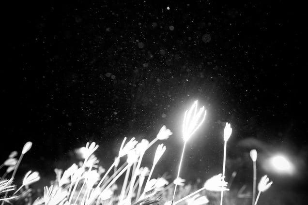 Inside My Head- Aji Susanto Anom - Siem Reap 2015