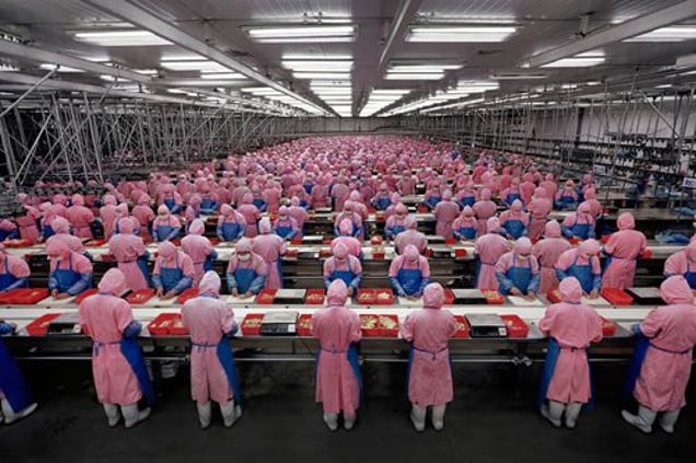 Manufacturing #17, Deda Chicken Processing Plant, Dehui City, Jilin Province, 2005 © Edward Burtynsky