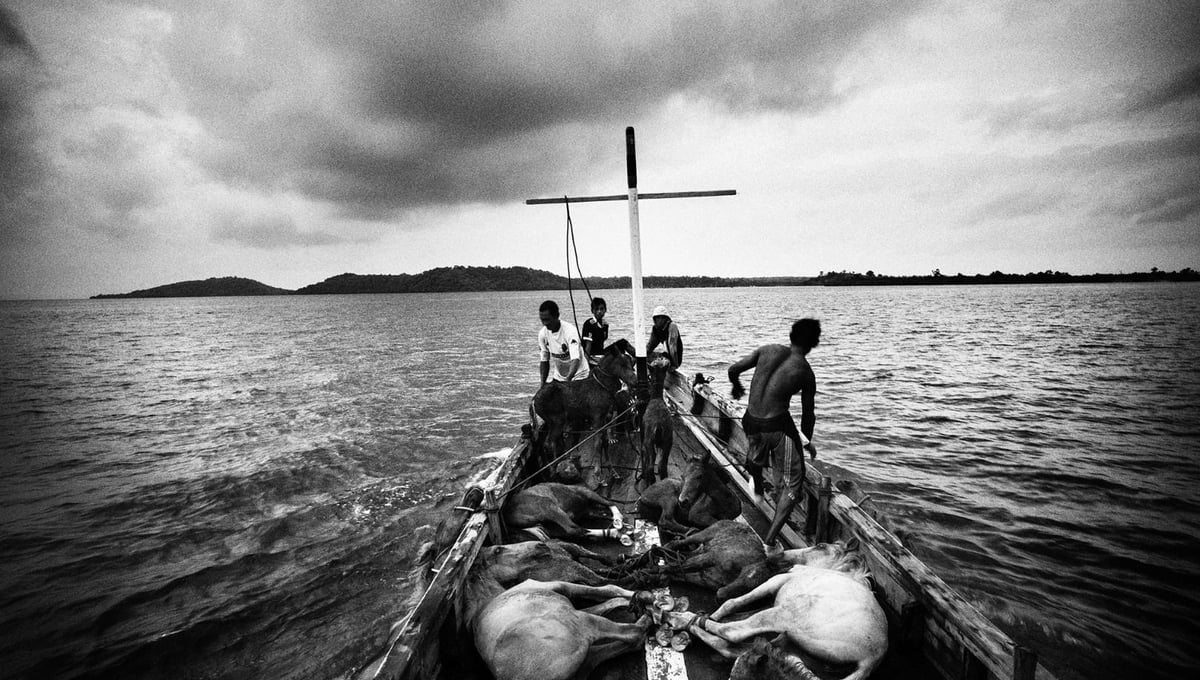 From the series, The Riders of Destiny © Romi Perbawa
