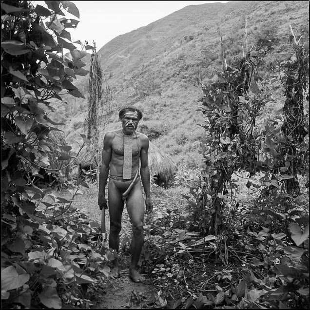 DANI, Papua Provinz, Indonesia