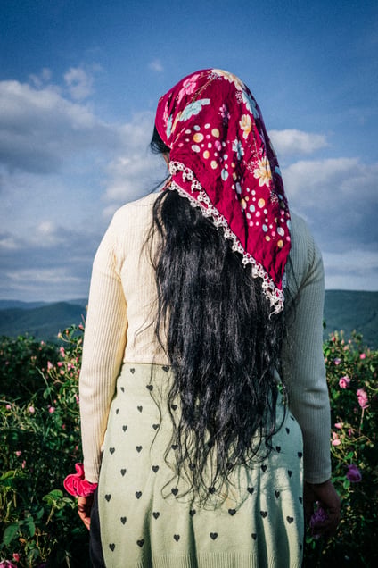 Figure in rose fields