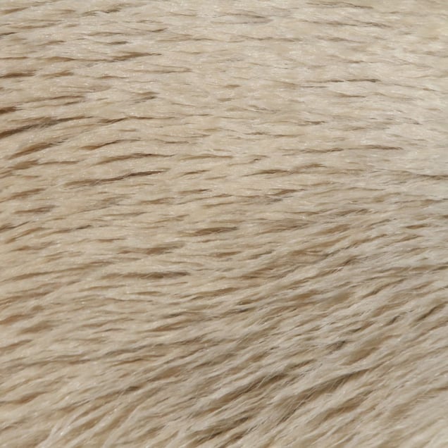White bear © Yusuke Sakai