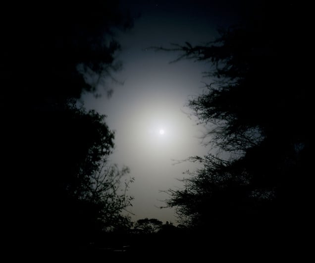 hunters moon, northern kenya-from the series 'with butterflies and warriors'-David Chancellor