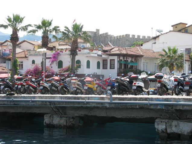 Guardians at the Fortress