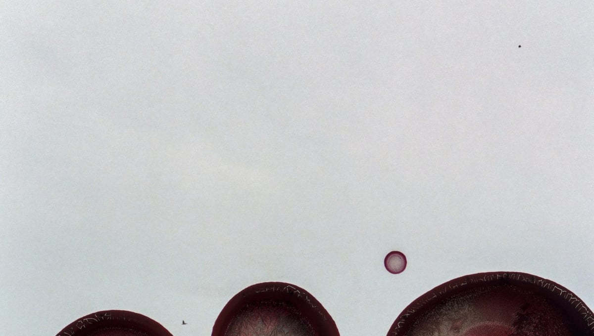 Untitled (25),