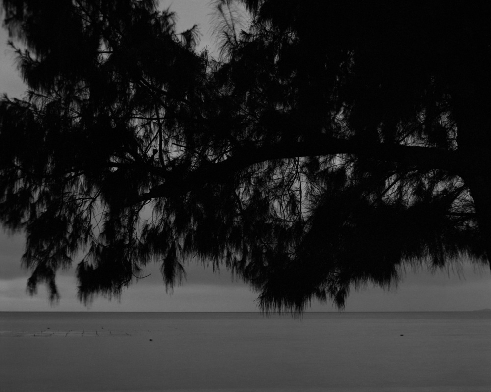 Blanco: Silent Landscapes - Interview with Awoiska van der Molen