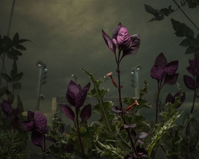 Established Supply Corridor