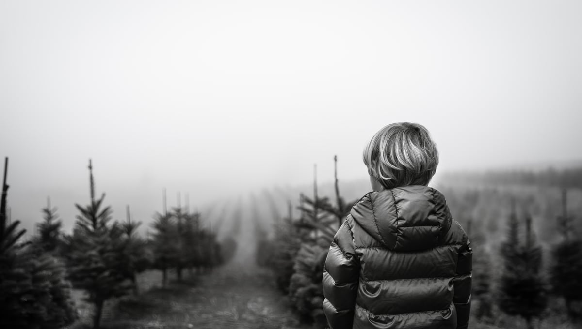 Trees for Next Winter