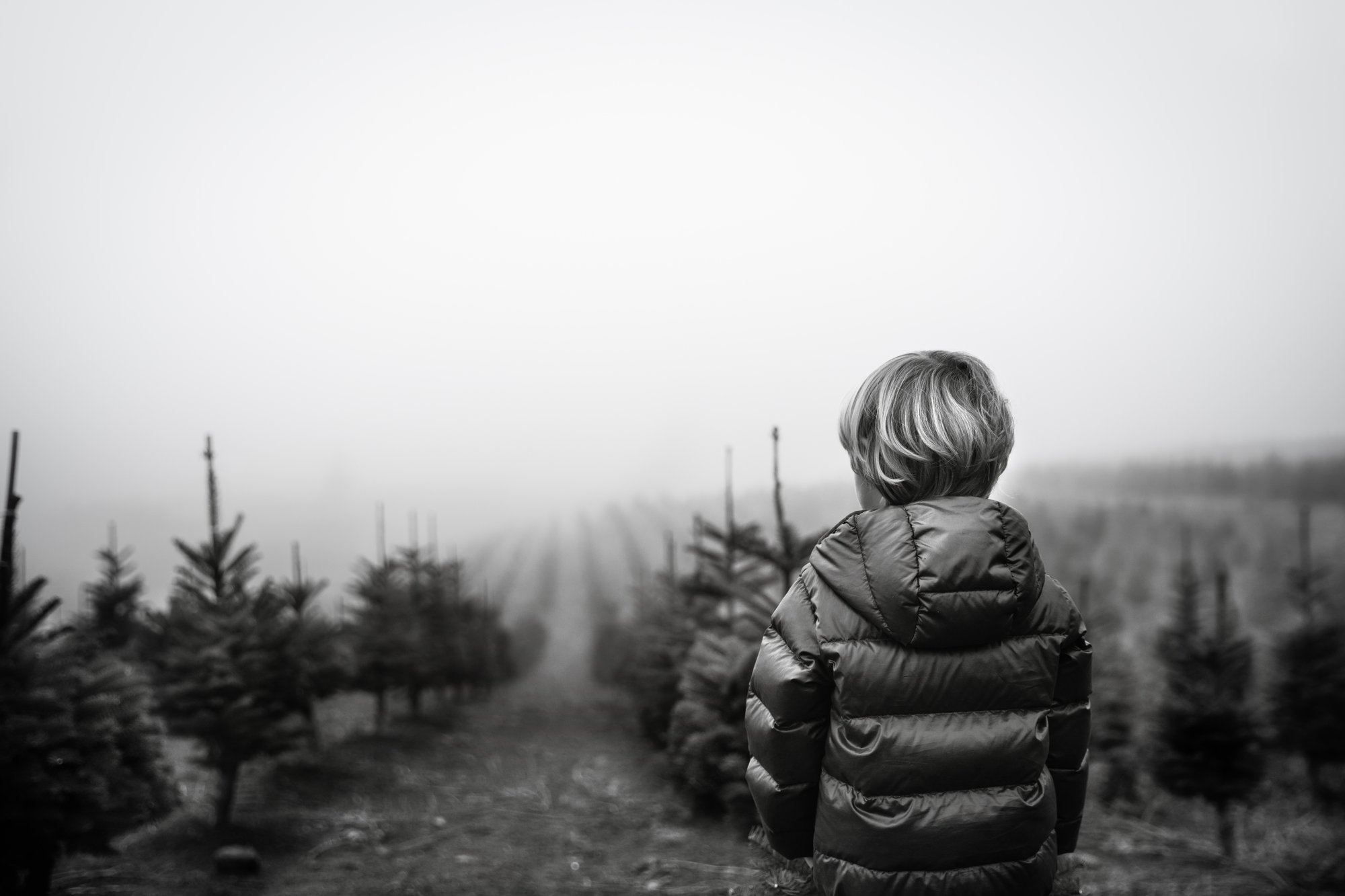 The Season of Childhood