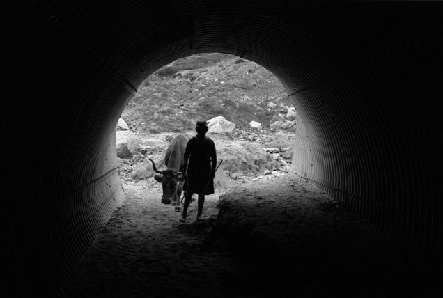Protestas contra la construccion de la autopista del Atlantico, Salcedo, Pontevedra, 1977- 78 © Anna Turbau, VEGAP