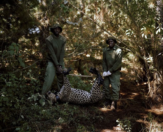 leopard and rangers, kisimi, northern kenya-from the series 'with butterflies and warriors'-David Chancellor-