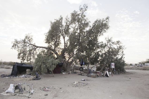 Hovel in a tree at Slab City.