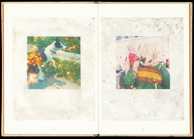 From  Buried, by Stephen Gill and Nobody Books © Stephen Gill