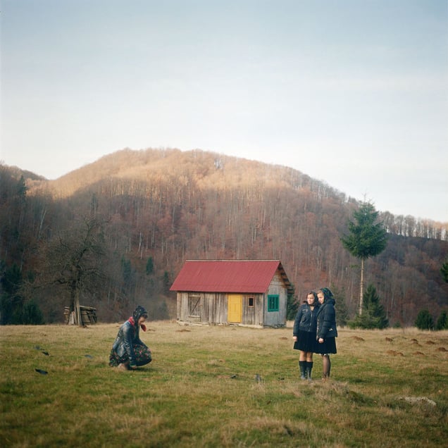 Then the sisters made their guest and his horse known to all the wild beasts