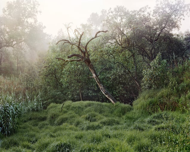 Untitled 6, La Fosa Común