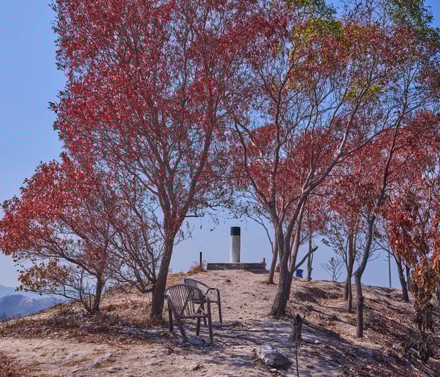 The 425: Yuen Long District