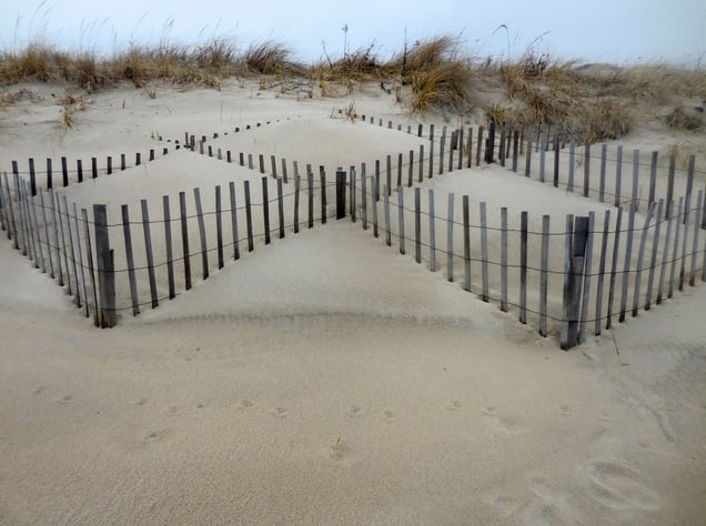 Beach Fencing