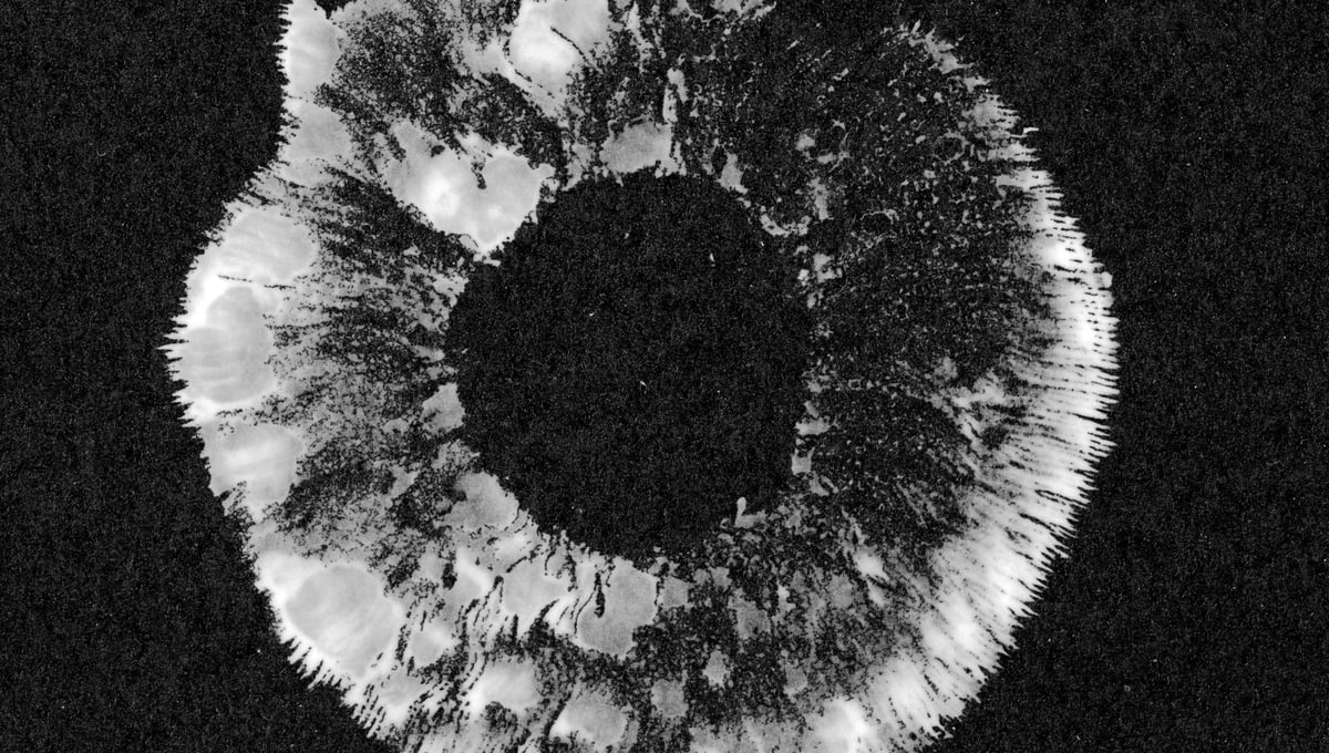 Spore Print