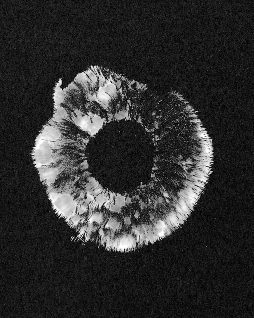 Spore Print