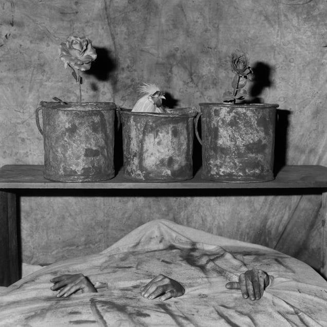 Three hands, 2006 © Roger Ballen