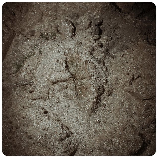 From the series "Afronauts" © Cristina De Middel