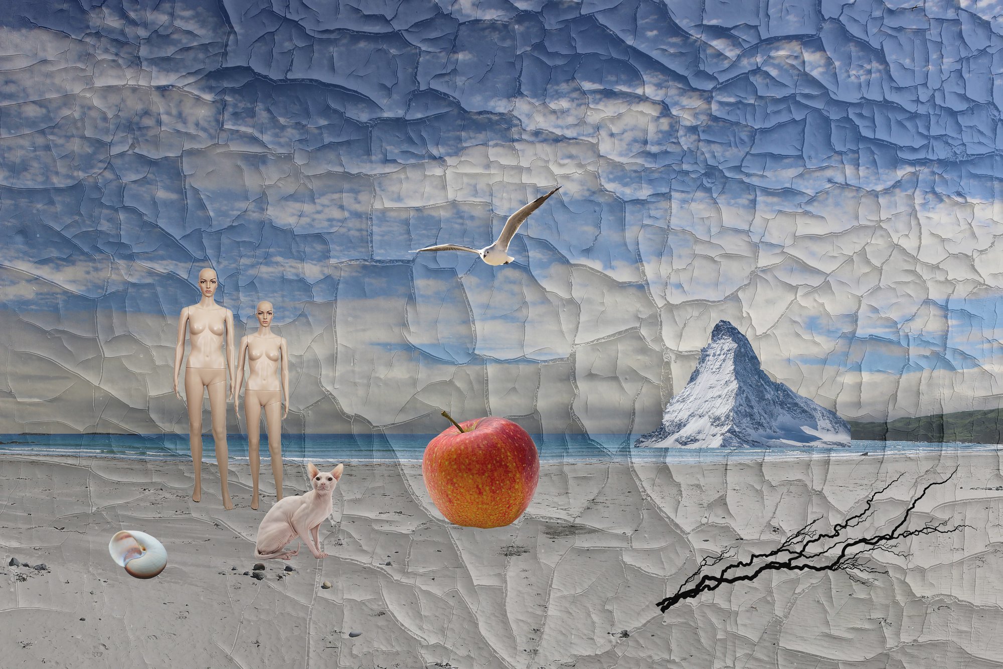 series - visions