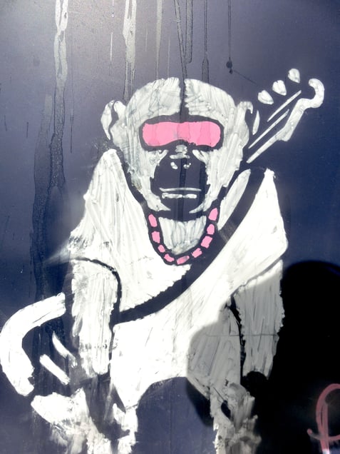 "FREE MONKEY ROCK FOREVER!"