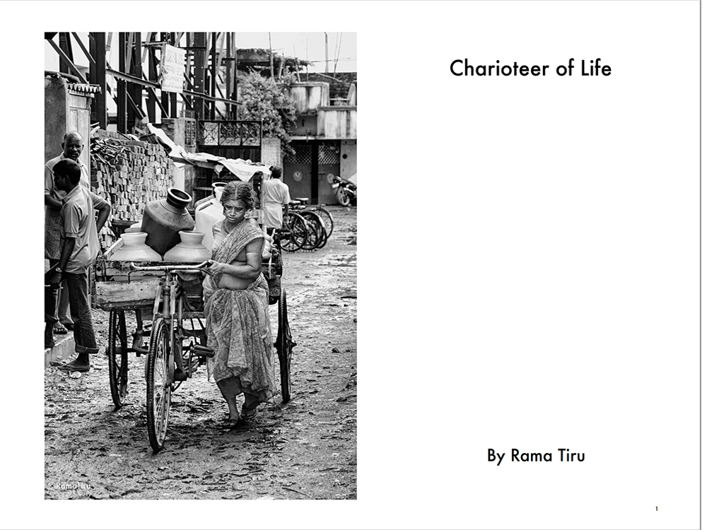 Charioteer of Life