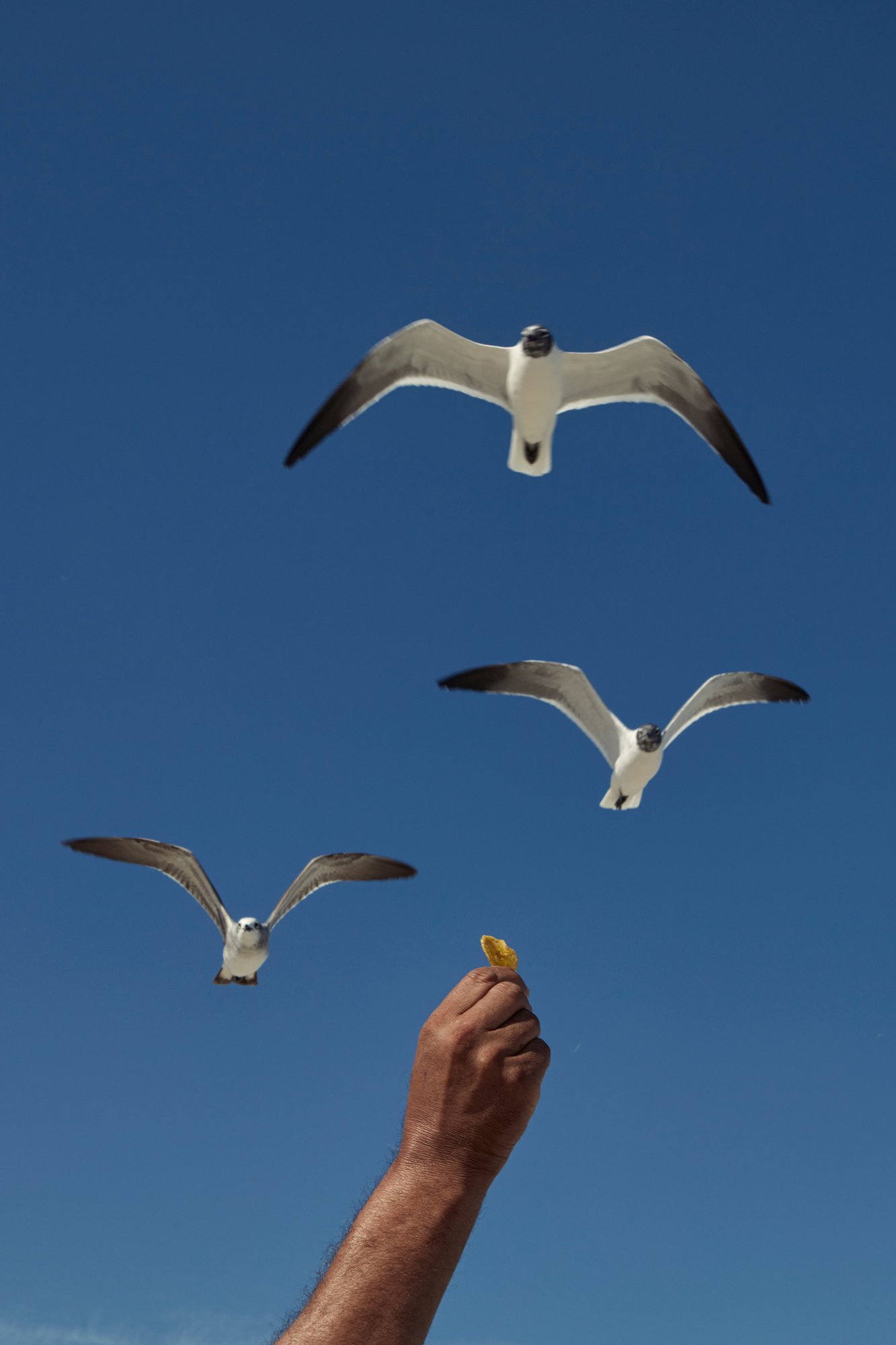 winner of photography awards