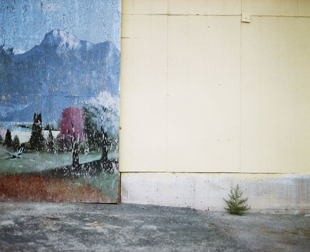Yellow Wall, Arco Idaho© Alexis Pike