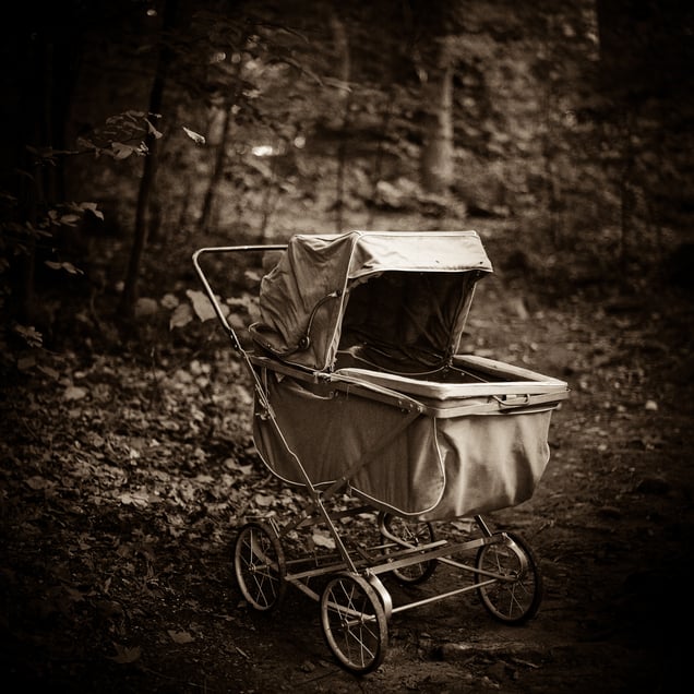 Empty Nest