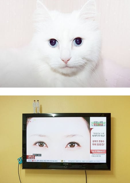 Cat Eyes © Maroesjka Lavigne