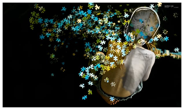 The Puzzle