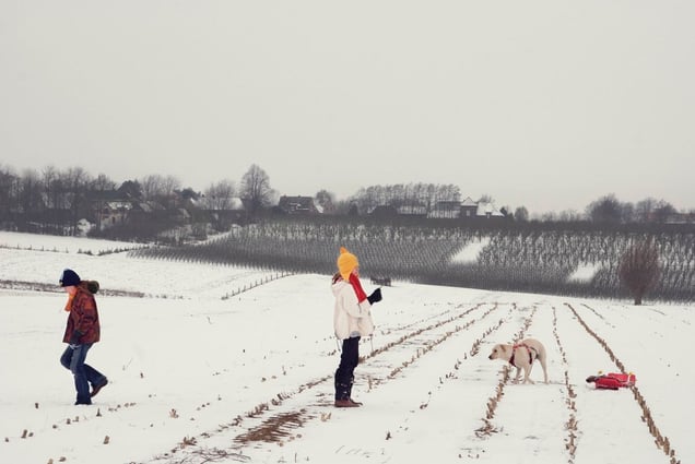 © An-Sofie Kesteleyn
