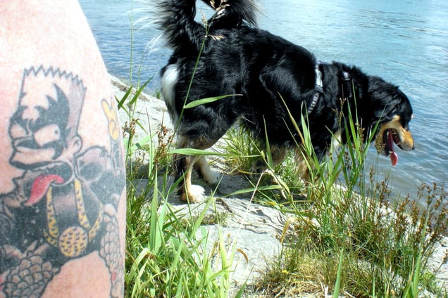 "TONGUE TWISTER" "DAS ZÜNGLEIN AN DER WADE" or "THE MUTT KING OF ROCK'N ROLL" "DER KÖTER KÖNIG DES ROCK'N ROLL"