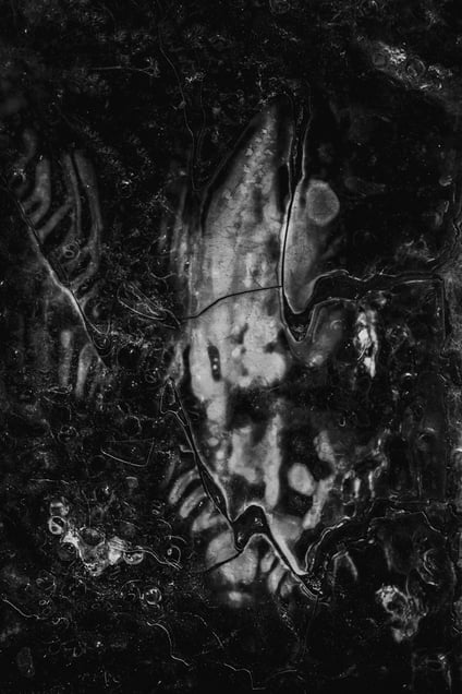 Abstract #4