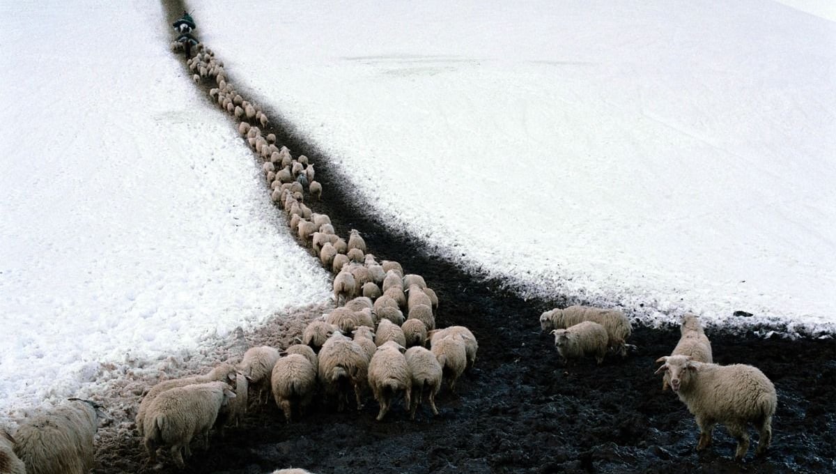 On the way to the mountains © Dmitry Gomberg