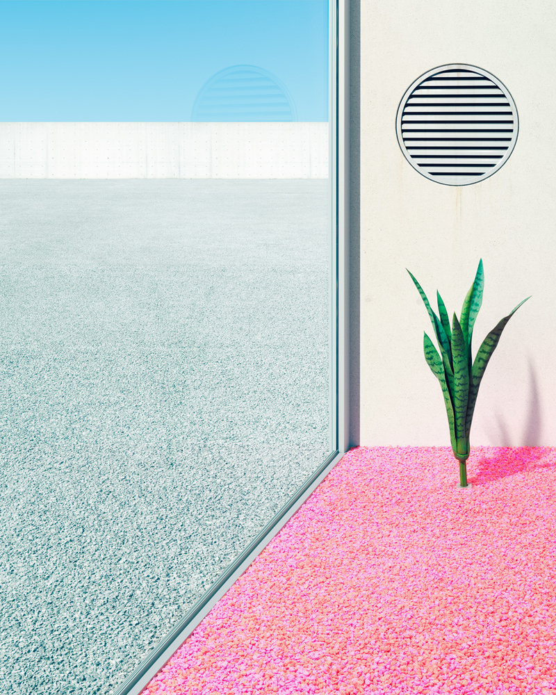 In the Garden: Colorful Dystopia - Photographs and text by Clemens