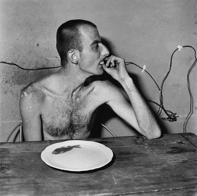 Lunchtime, 2001 © Roger Ballen