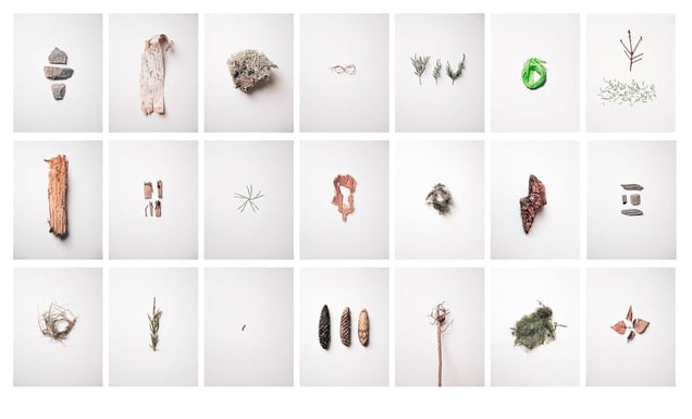 Picked Fragments #1-21, 2016