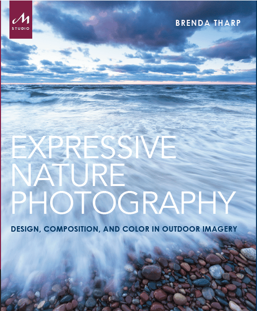 Expressive Nature Photography