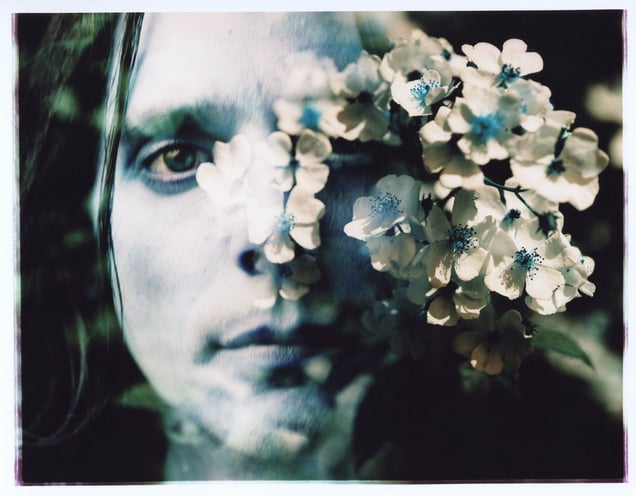 Partner in Solitude & Company