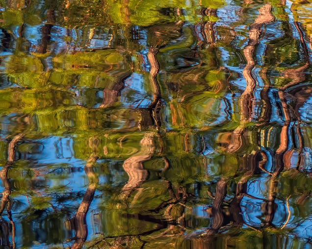 Vertical Currents