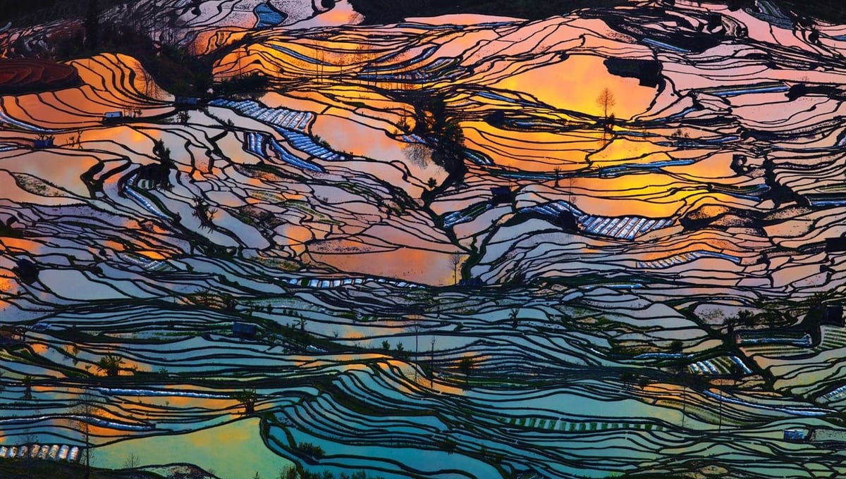 God's Palette