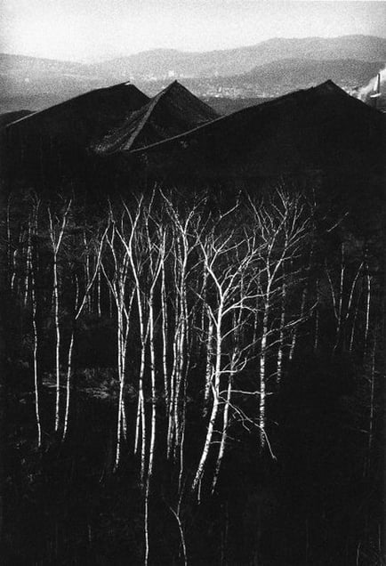 Forest near coal heaps, 1979, from Silesia (1978-1979) © Michal Cala (Poland), from the exhibition Behind Walls: Eastern Europe before 1989. Courtesy of the Noorderlicht Photofestival 2008.