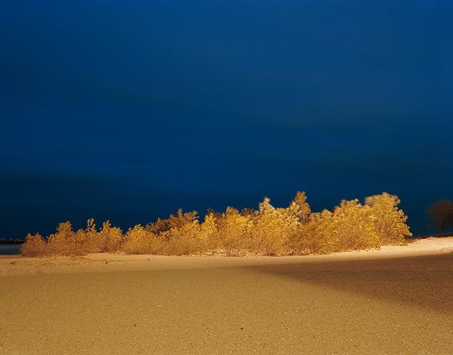 Chicago 1893 World's Fair, "The Columbian Exposition," Site of Manufacture Liberal Arts Building, Grand Peristyle, and Agriculture Building, View 2