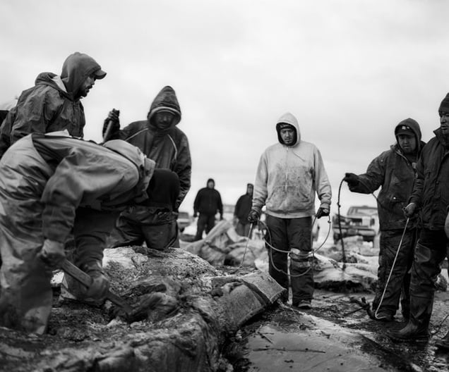 © Jeroen Toirkens, from the book Nomad, published by Lannoo