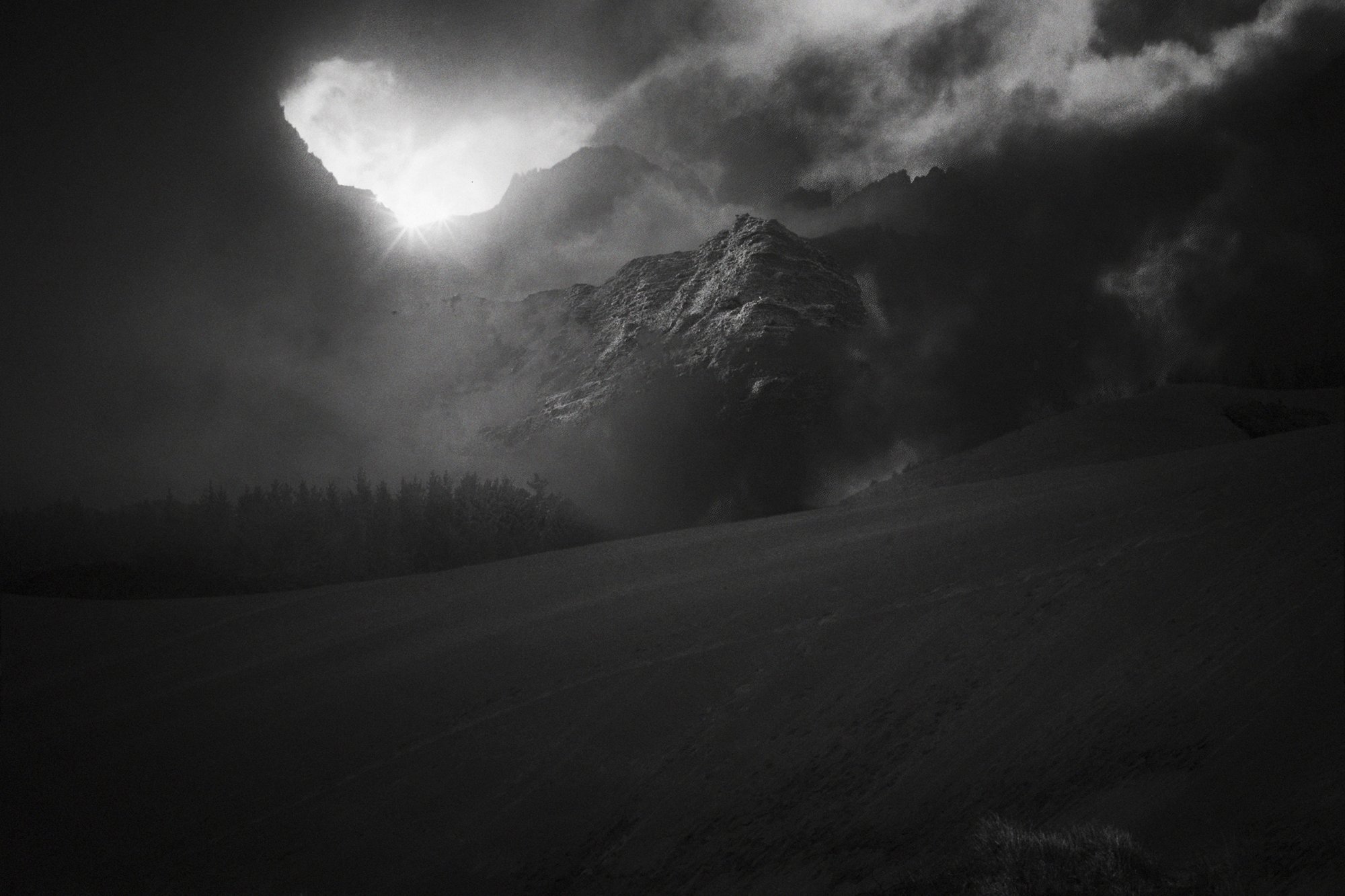 winner of photography awards