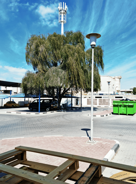 Freedom and Guilt, XIII