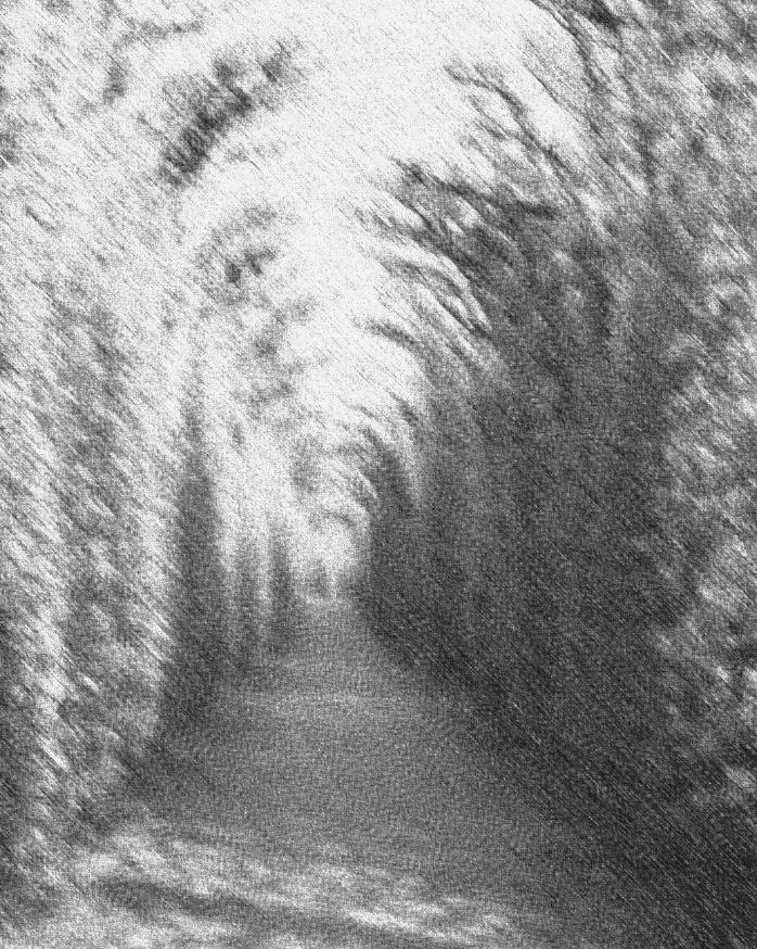 Reminiscence 